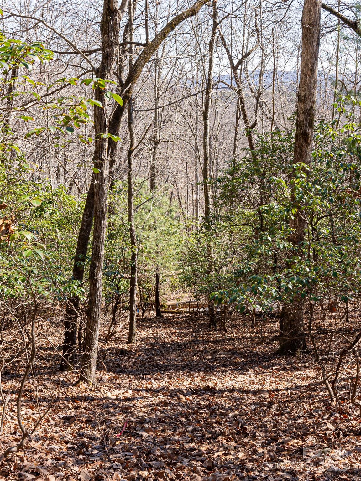27 Alpen Rose Way Mills River NC 28759