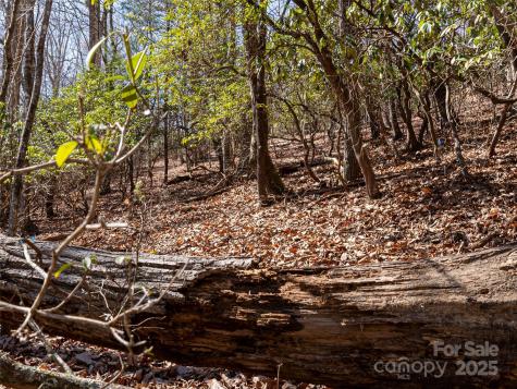 27 Alpen Rose Way Mills River NC 28759