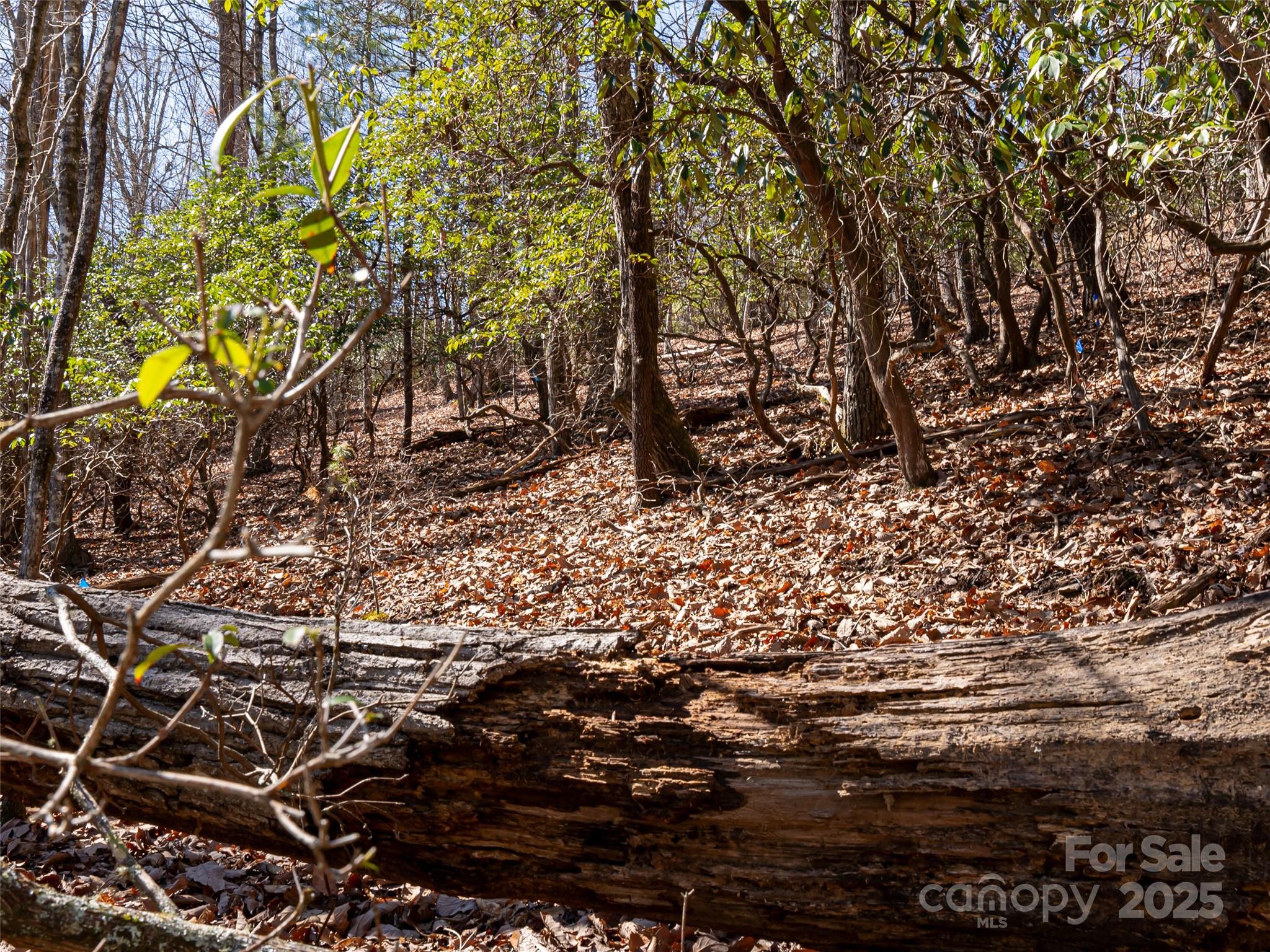 27 Alpen Rose Way Mills River NC 28759
