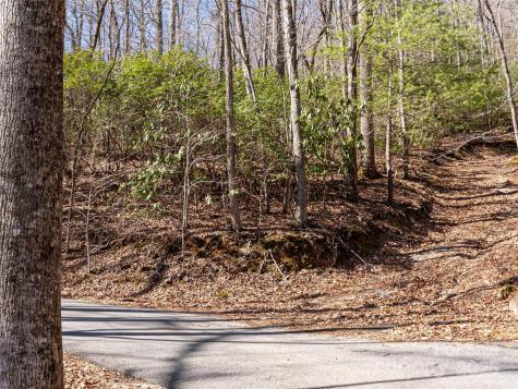 27 Alpen Rose Way Mills River NC 28759