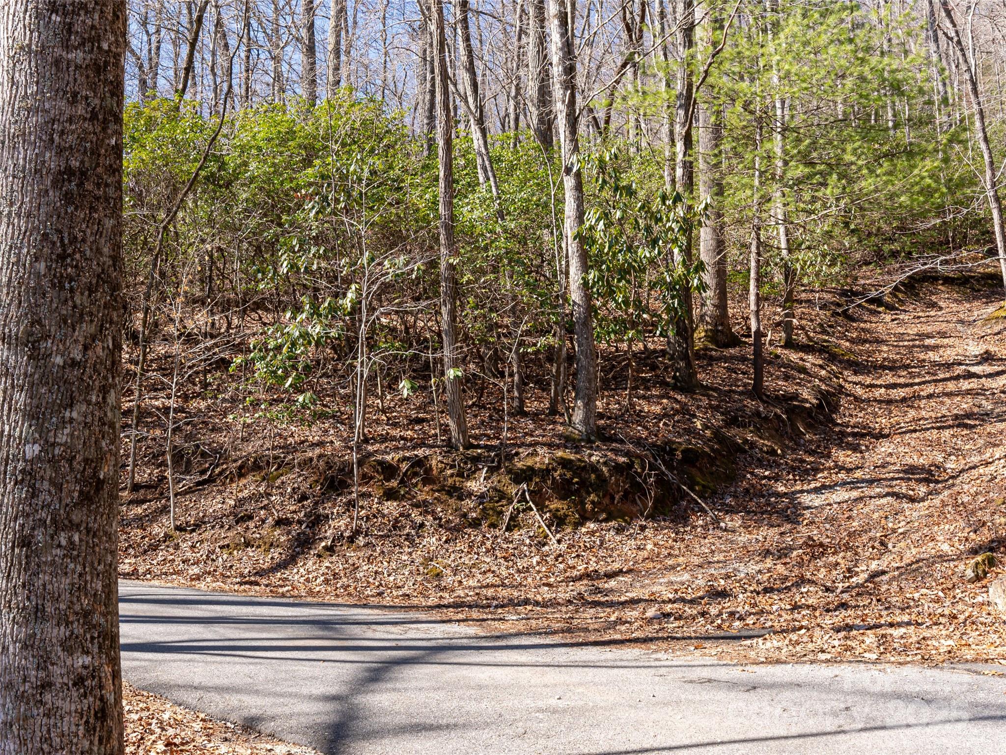 27 Alpen Rose Way Mills River NC 28759