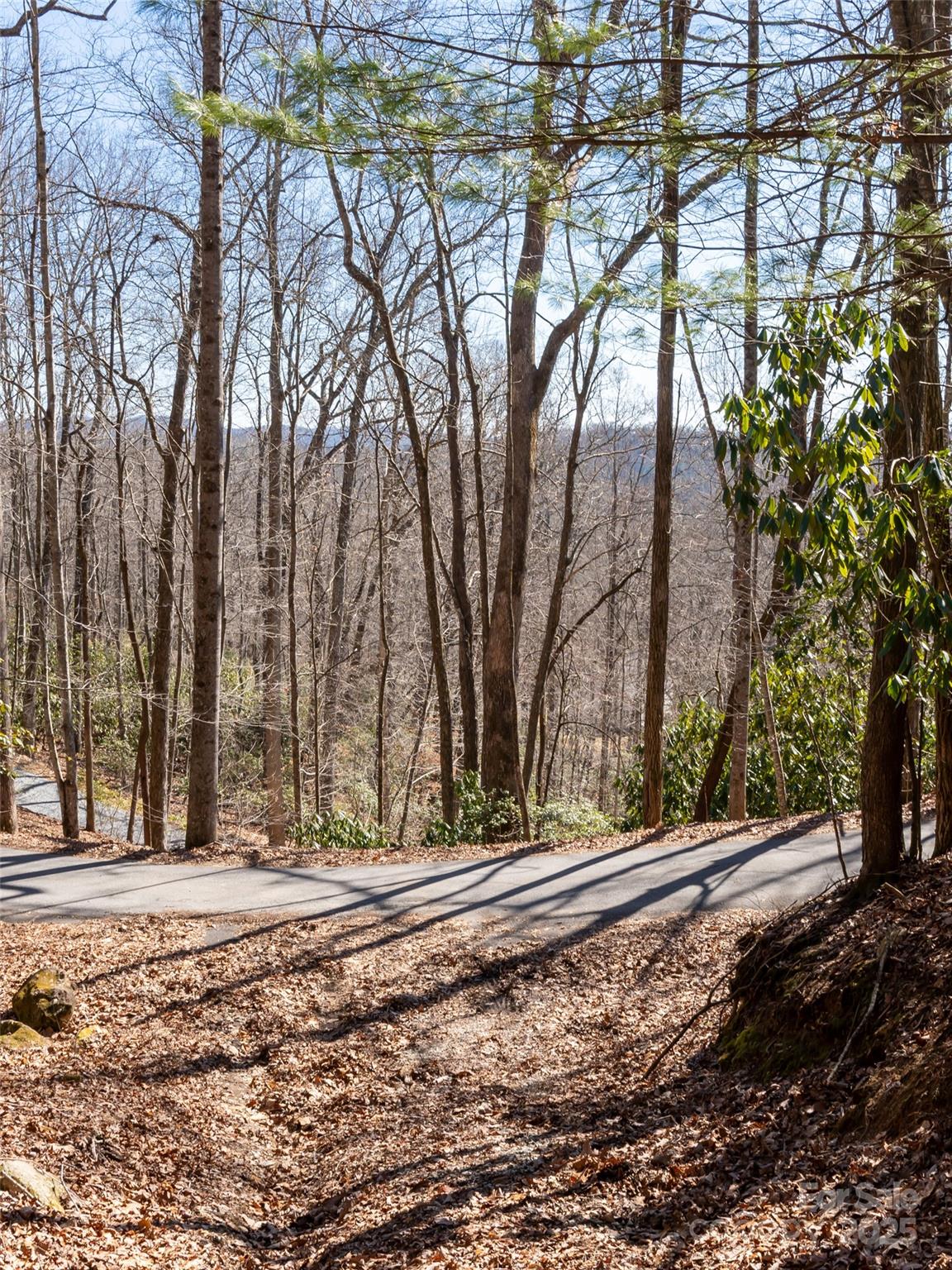 27 Alpen Rose Way Mills River NC 28759