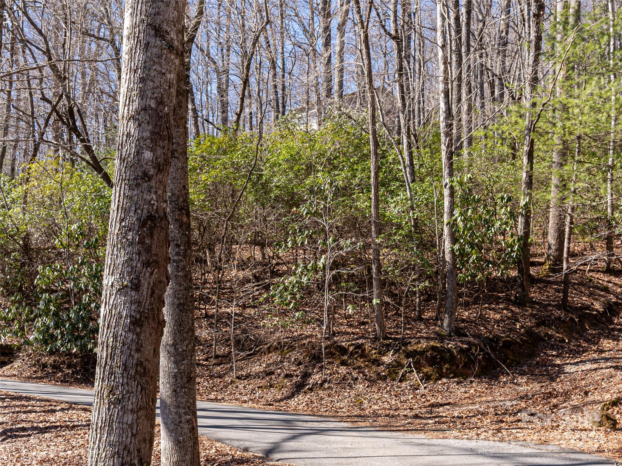 27 Alpen Rose Way Mills River NC 28759
