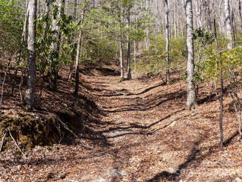 27 Alpen Rose Way Mills River NC 28759