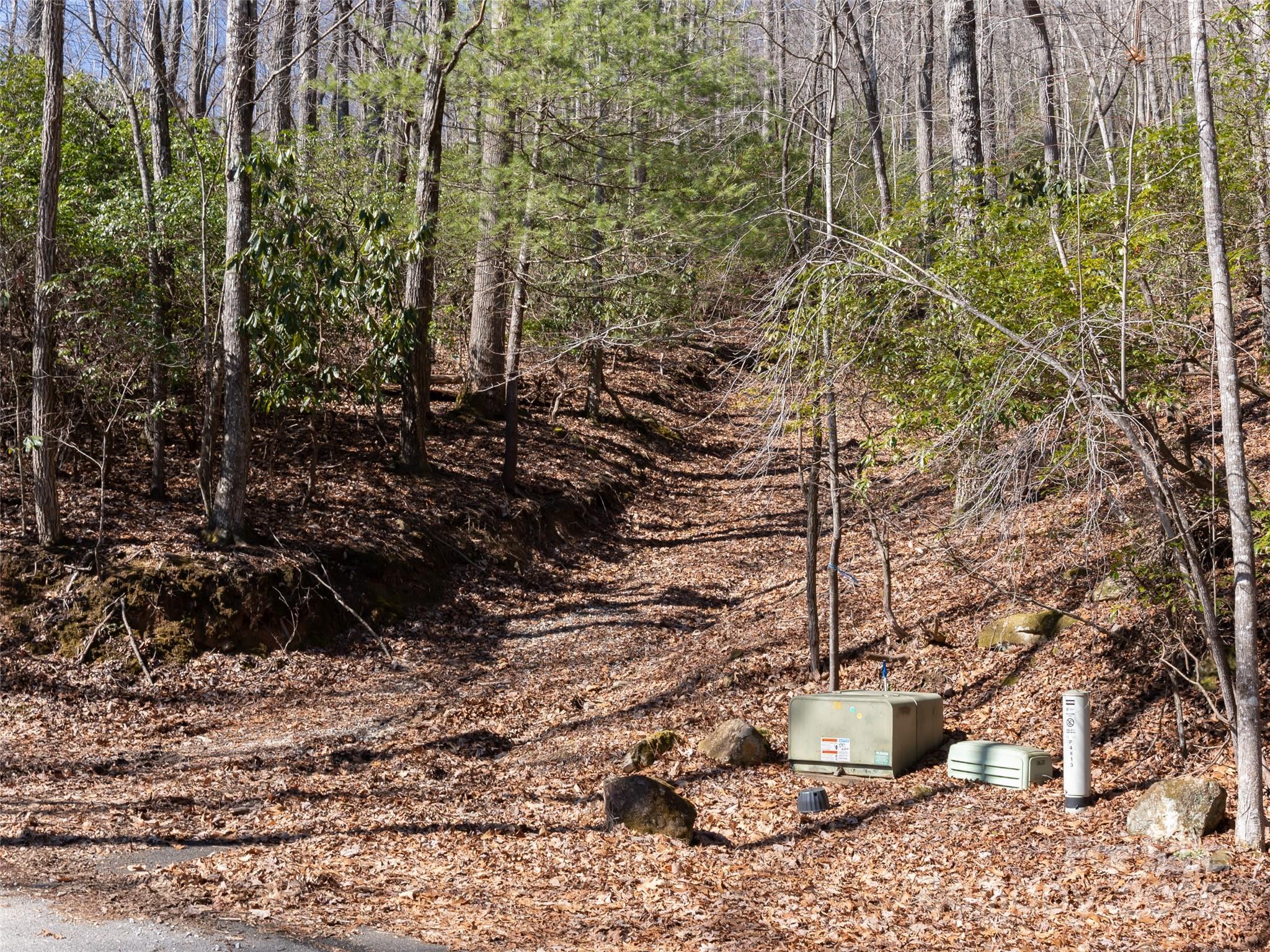 27 Alpen Rose Way Mills River NC 28759