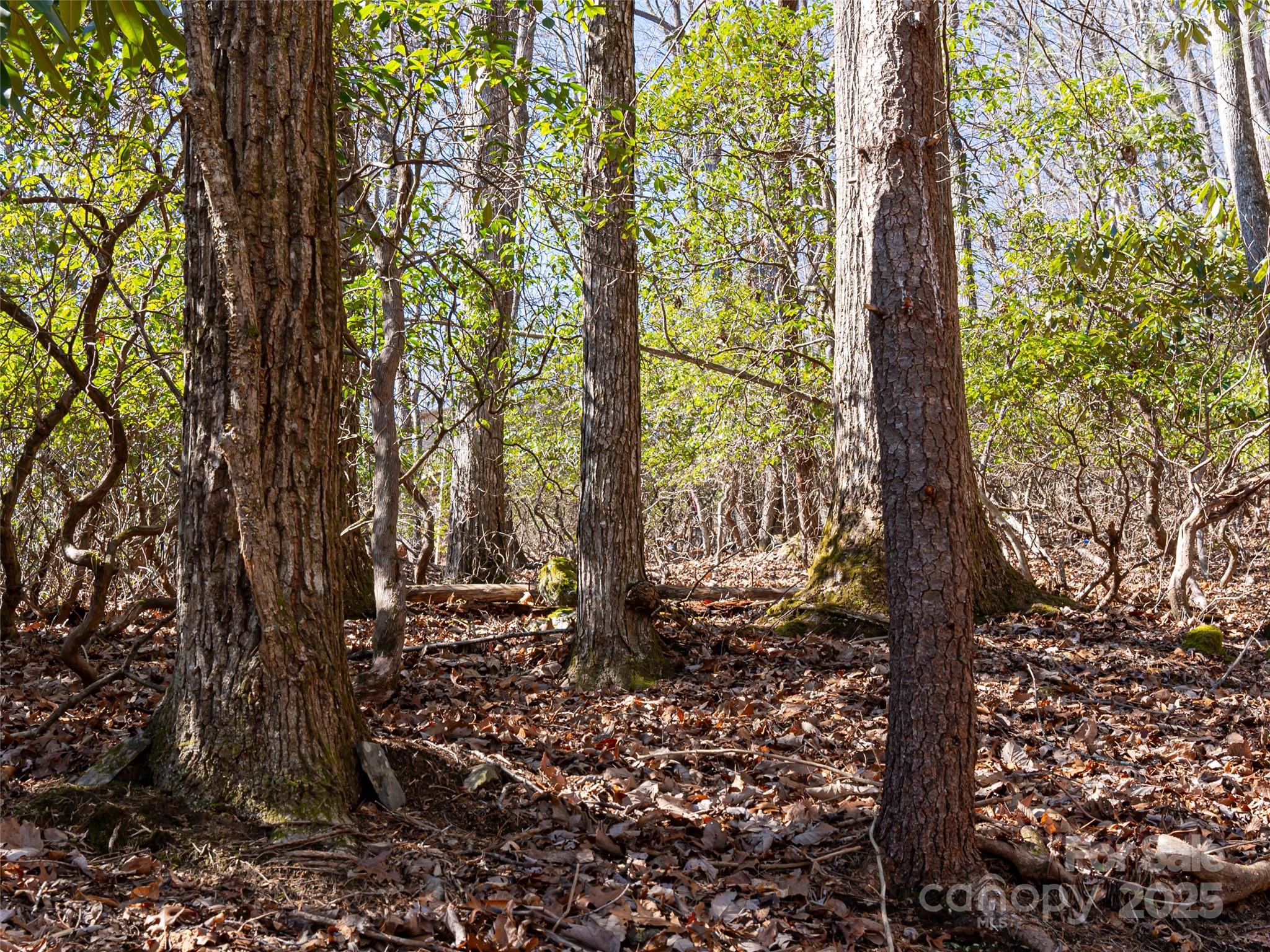 27 Alpen Rose Way Mills River NC 28759