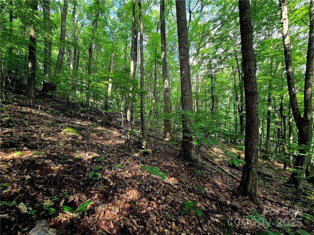 Tbd Red Fox Ridge Boone NC 28607