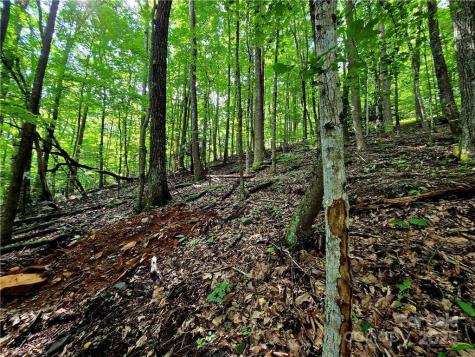 Tbd Red Fox Ridge Boone NC 28607