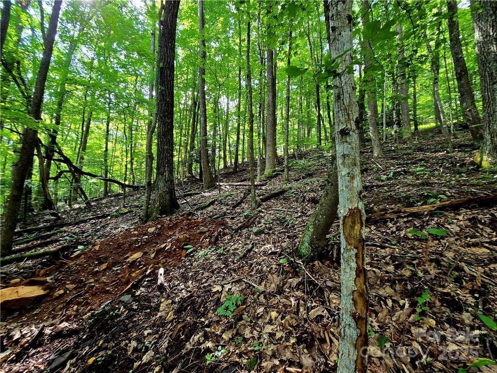 Tbd Red Fox Ridge Boone NC 28607