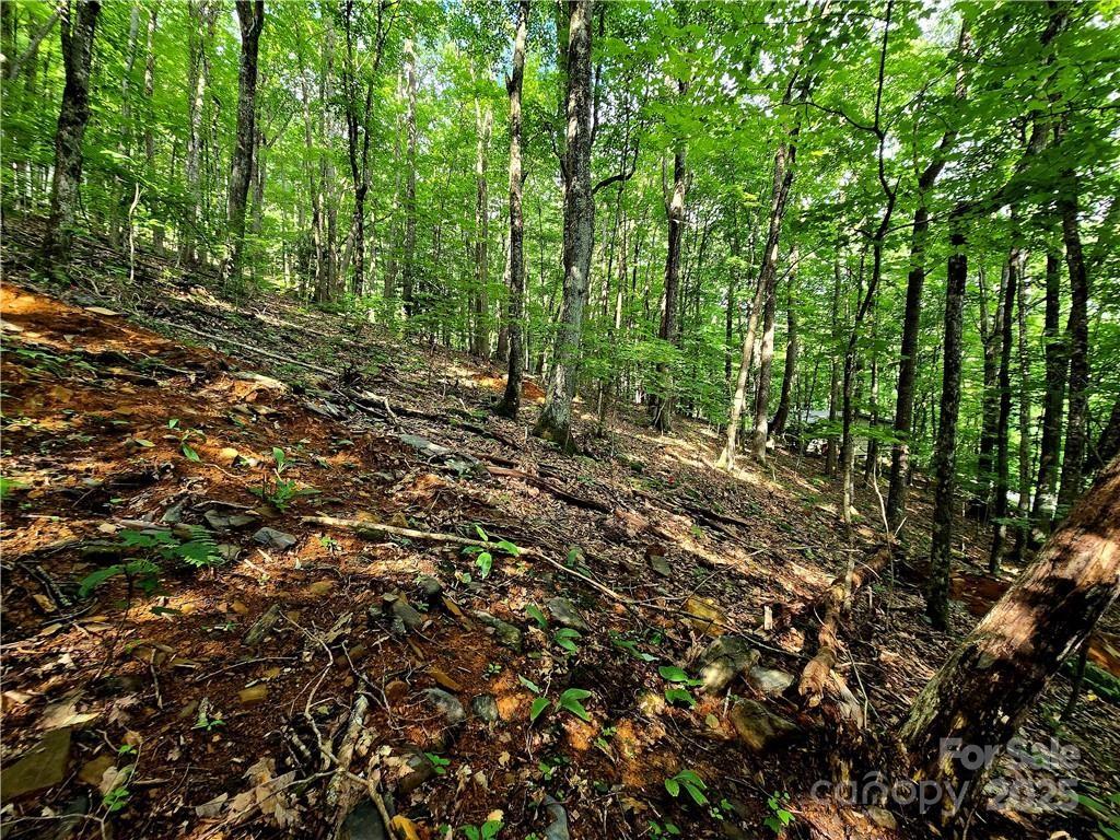 Tbd Red Fox Ridge Boone NC 28607