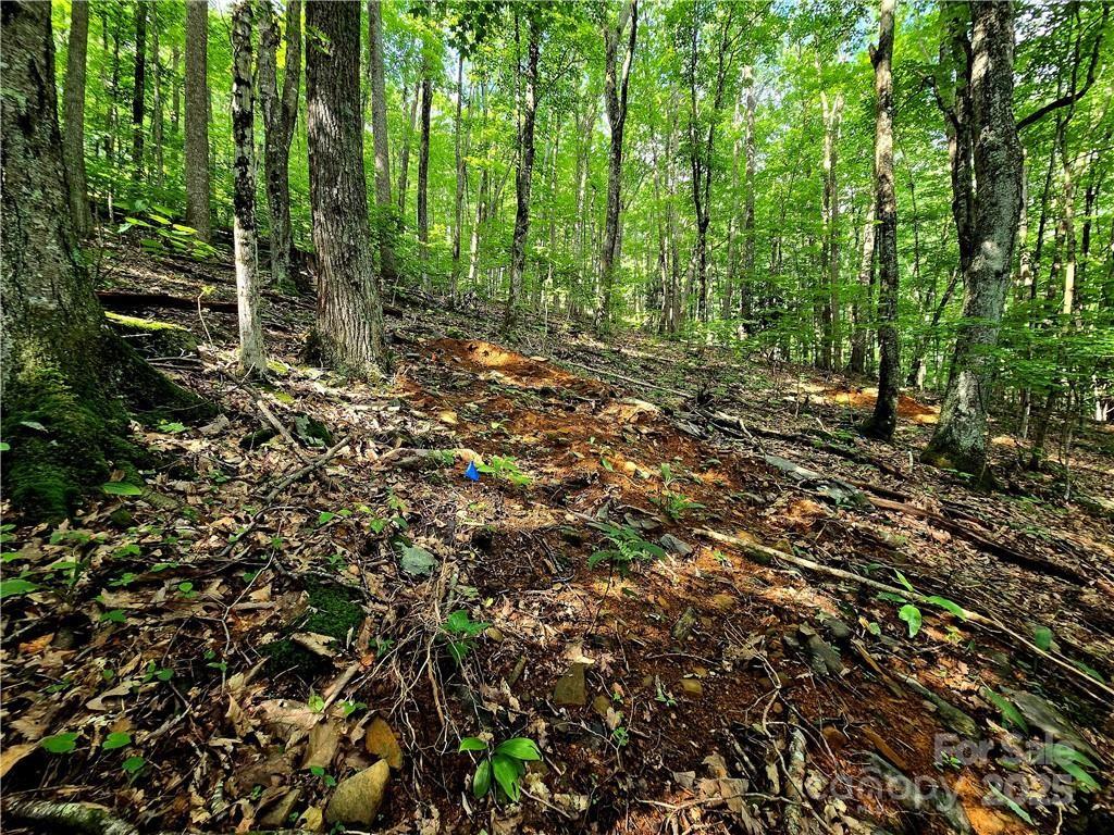 Tbd Red Fox Ridge Boone NC 28607