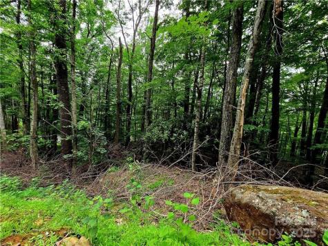 Tbd Red Fox Ridge Boone NC 28607