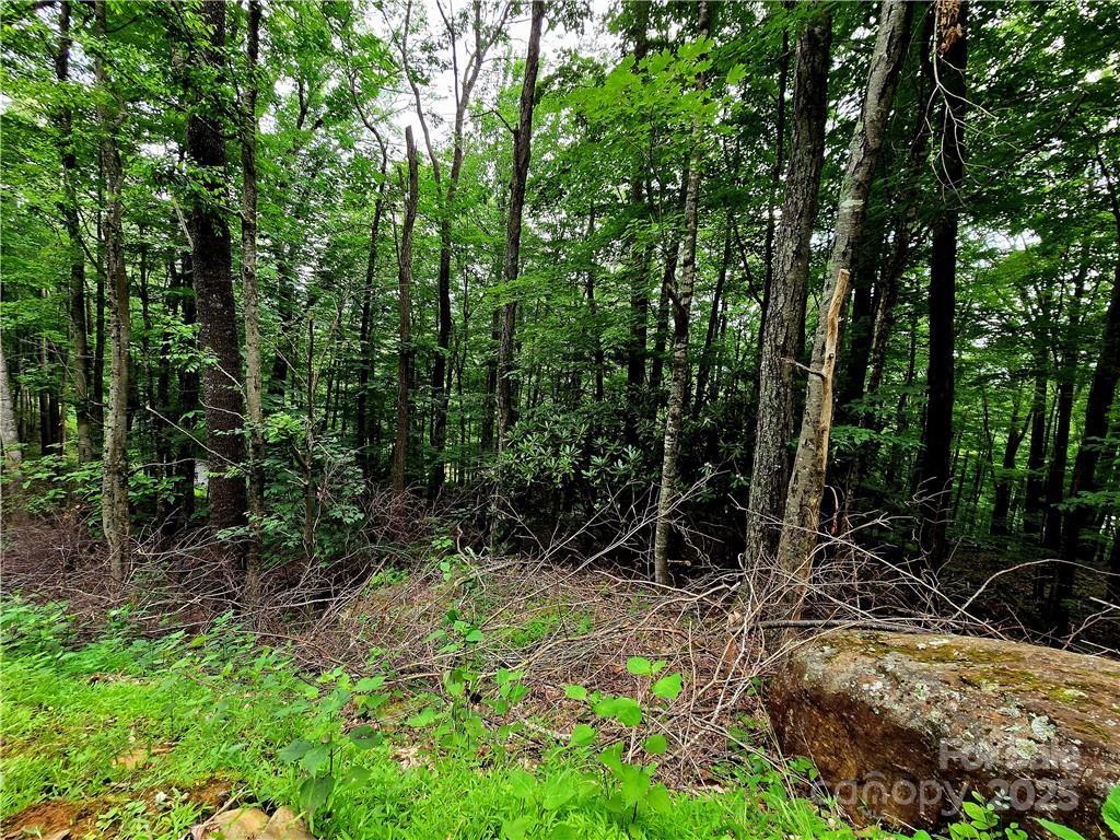Tbd Red Fox Ridge Boone NC 28607