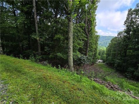 Tbd Red Fox Ridge Boone NC 28607