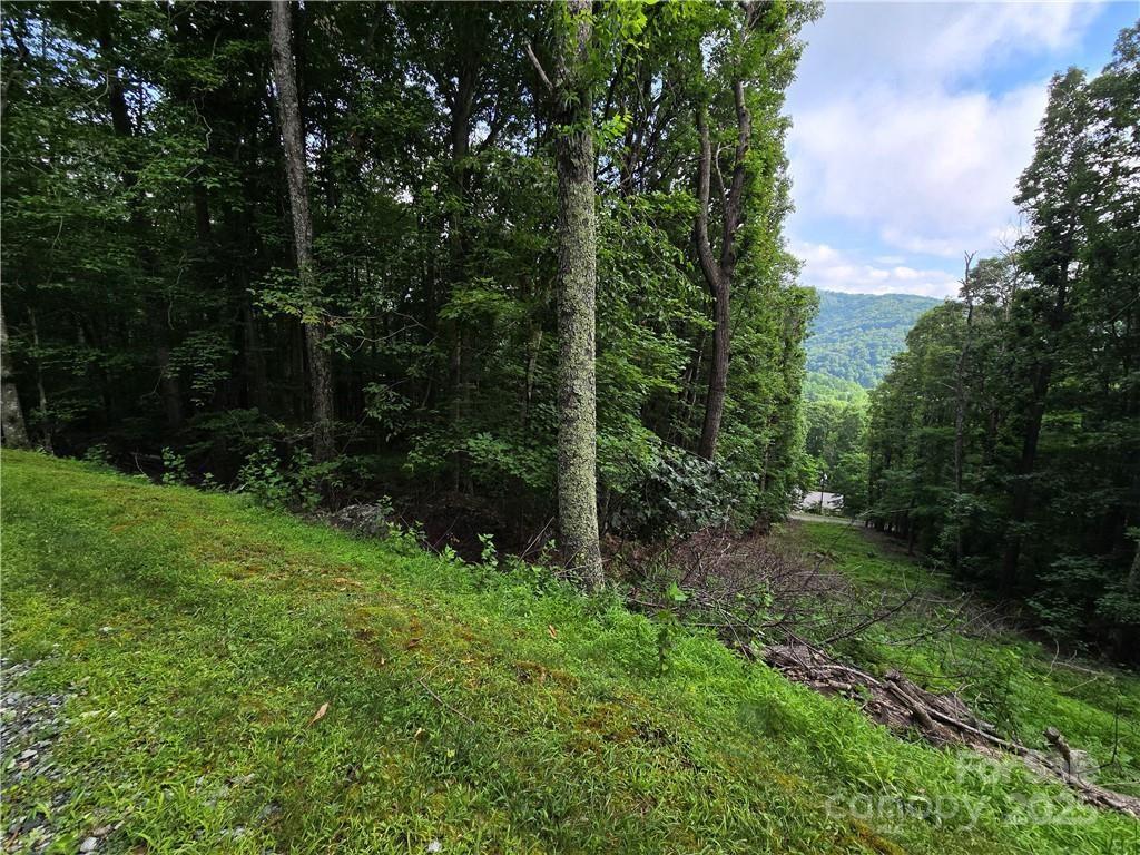 Tbd Red Fox Ridge Boone NC 28607