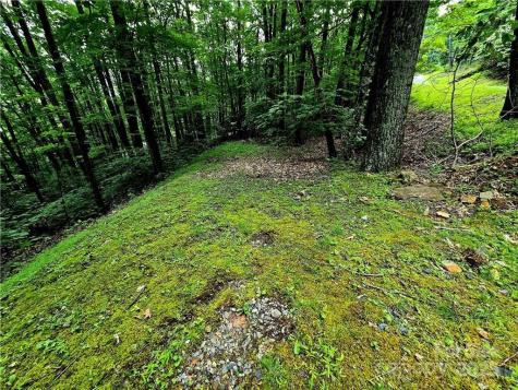 Tbd Red Fox Ridge Boone NC 28607