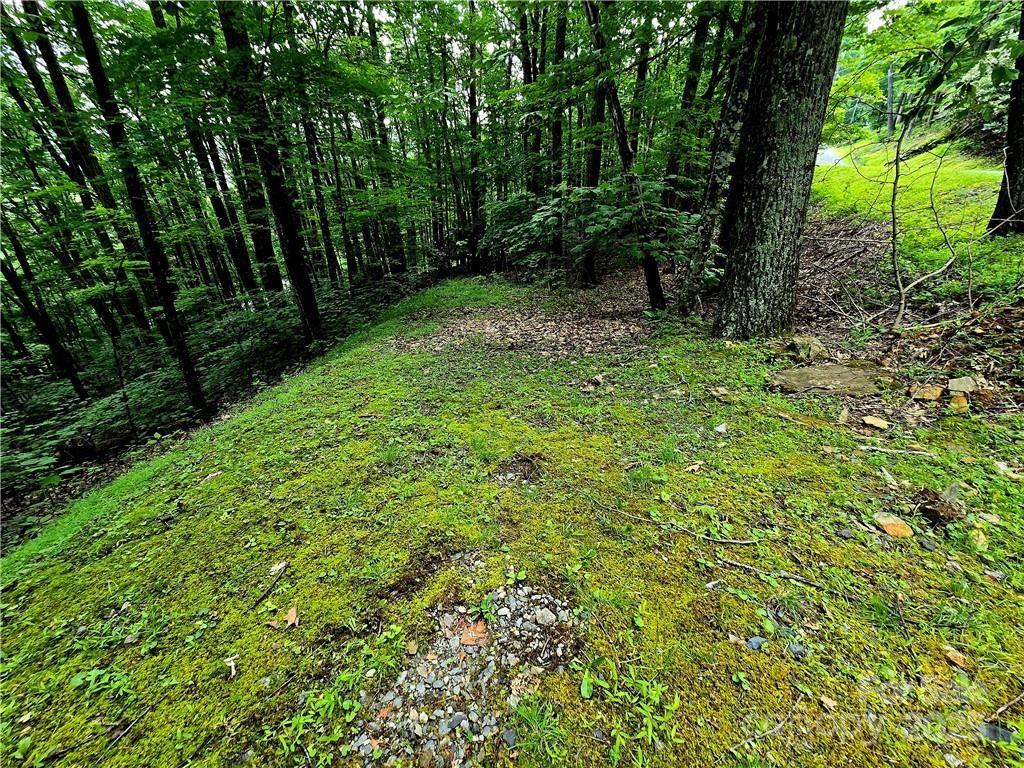 Tbd Red Fox Ridge Boone NC 28607