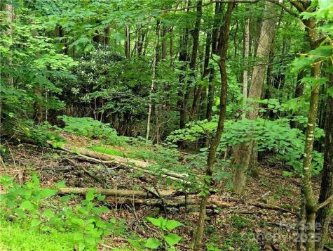 Tbd Red Fox Ridge Boone NC 28607