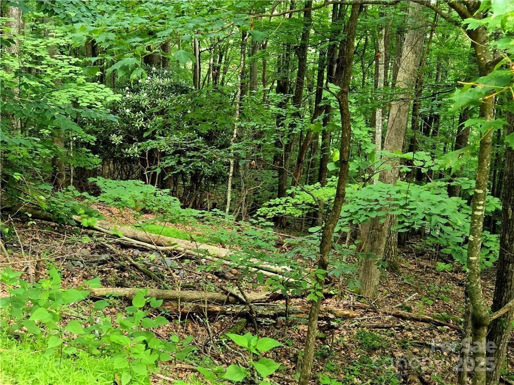 Tbd Red Fox Ridge Boone NC 28607
