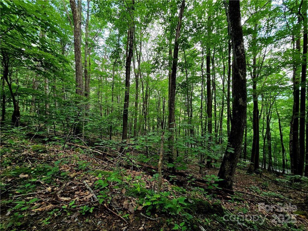 Tbd Red Fox Ridge Boone NC 28607