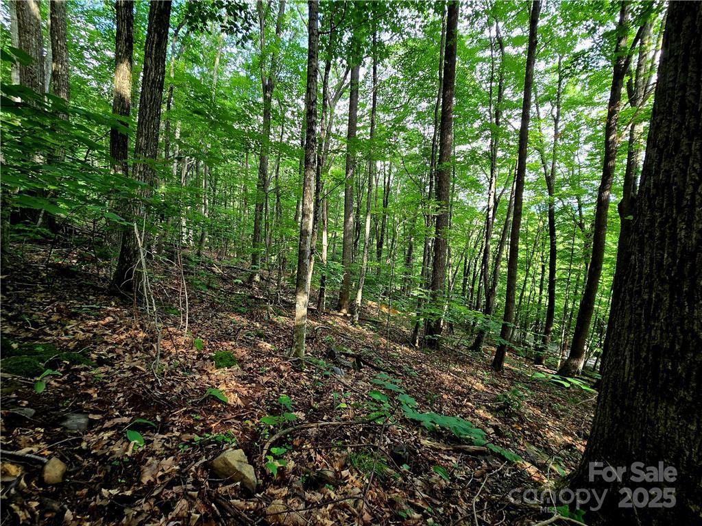 Tbd Red Fox Ridge Boone NC 28607