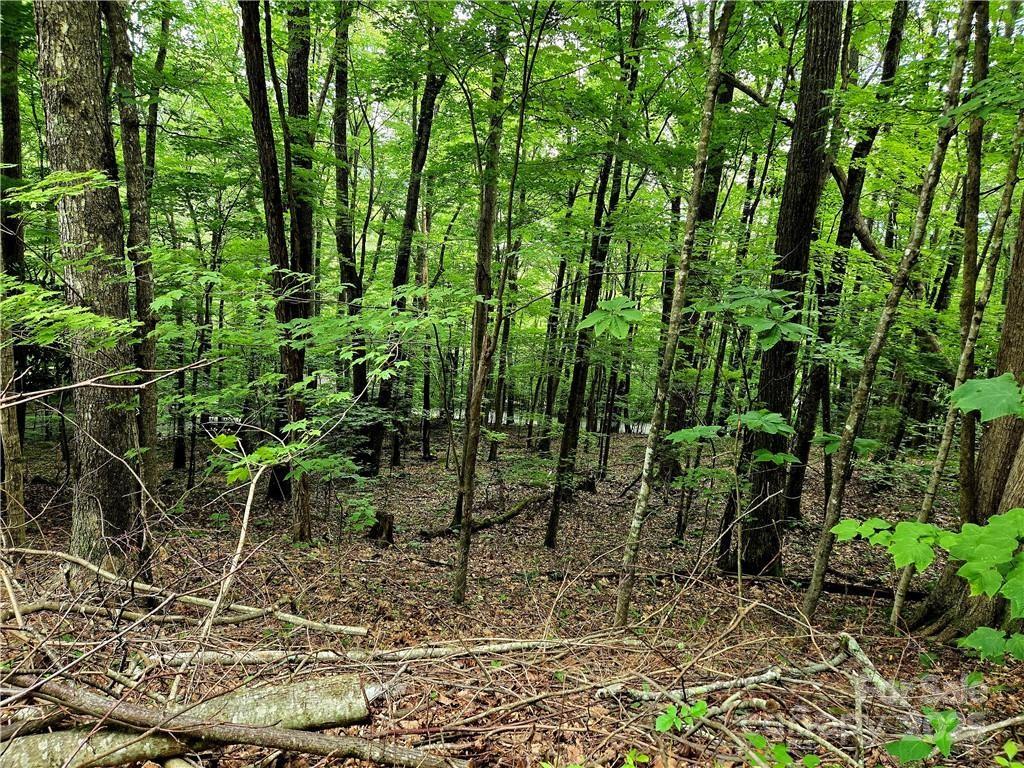 Tbd Red Fox Ridge Boone NC 28607