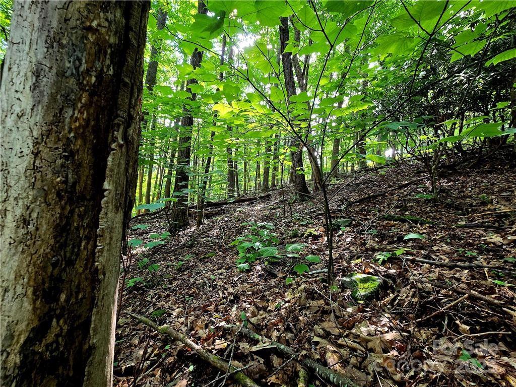 Tbd Red Fox Ridge Boone NC 28607