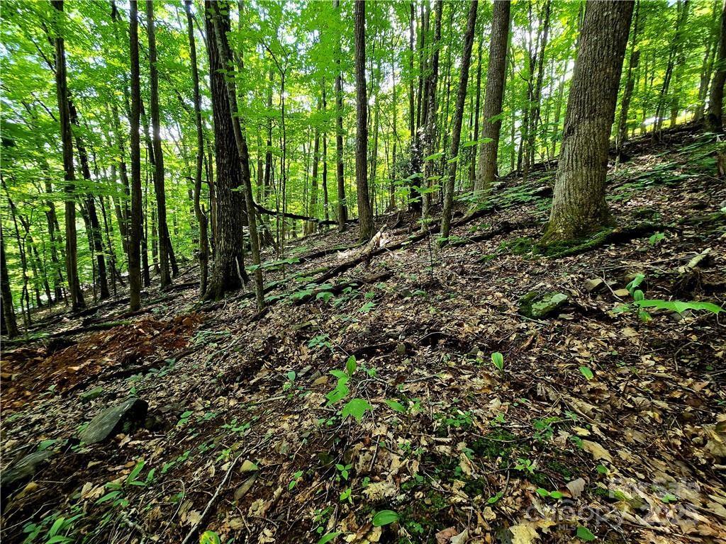 Tbd Red Fox Ridge Boone NC 28607