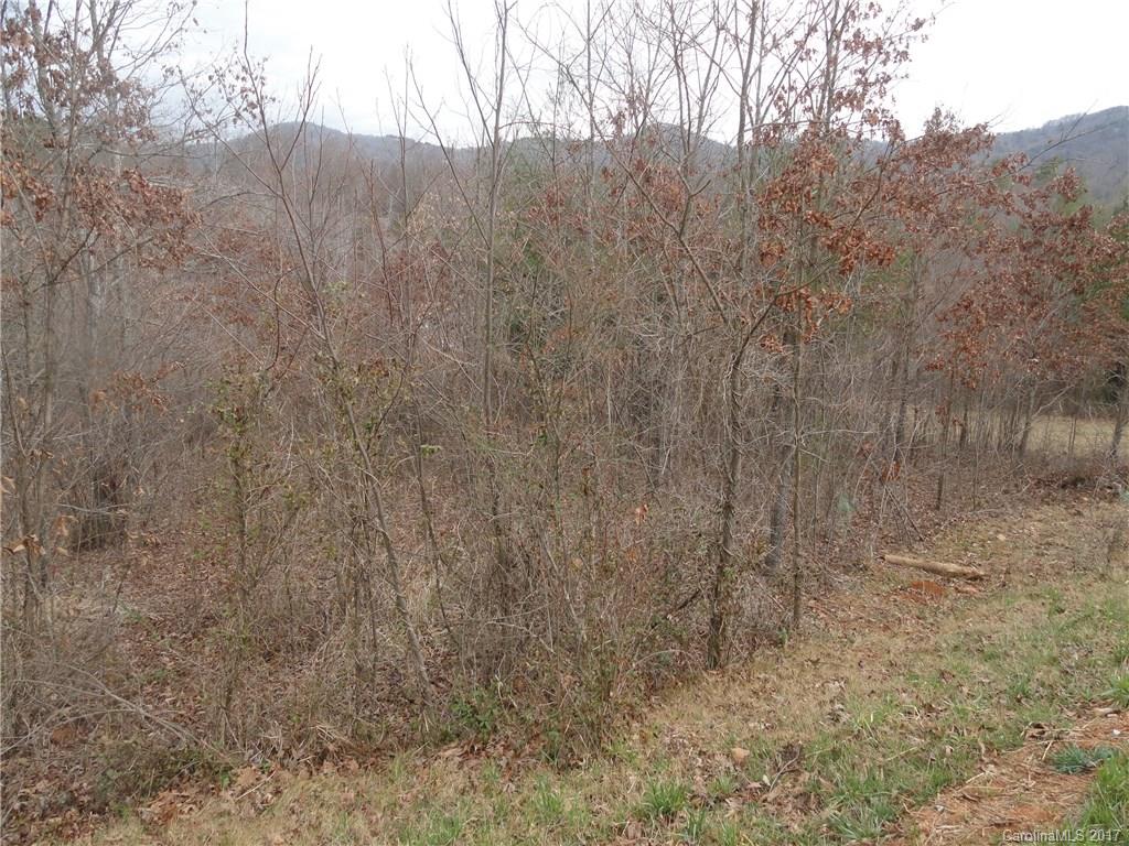 45 Versailles Lane Asheville NC 28804