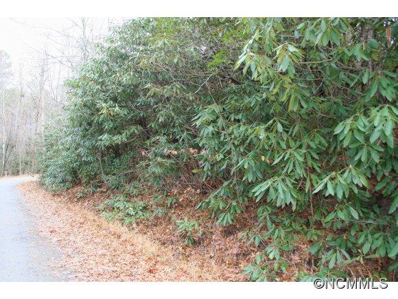 35 Buckner Black Mountain NC 28711