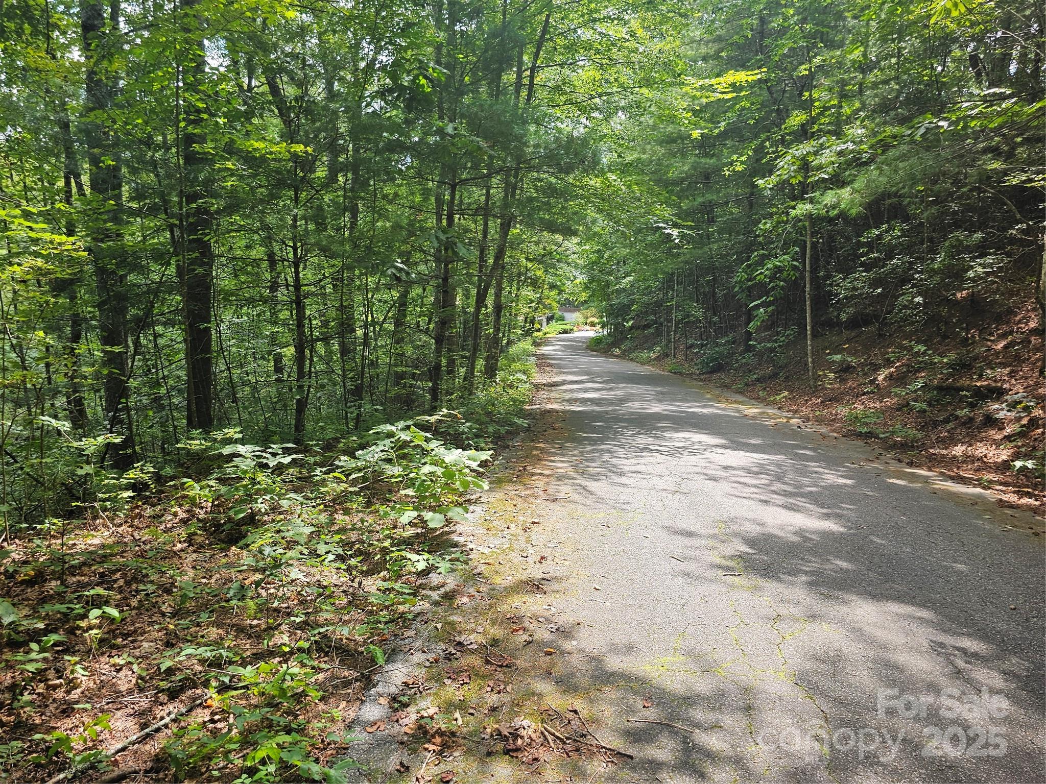 99999 Majestic Trace Hendersonville NC 28739