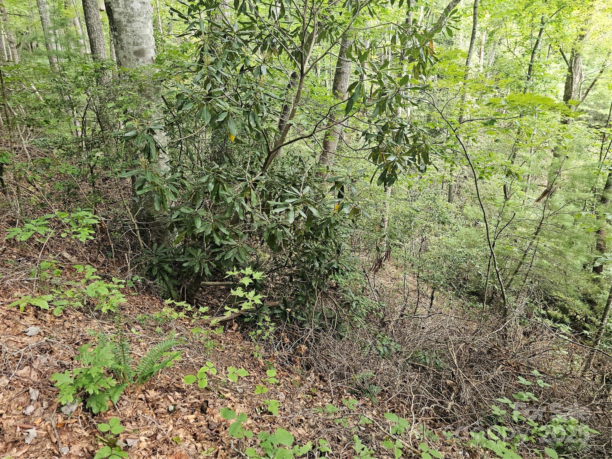 99999 Majestic Trace Hendersonville NC 28739