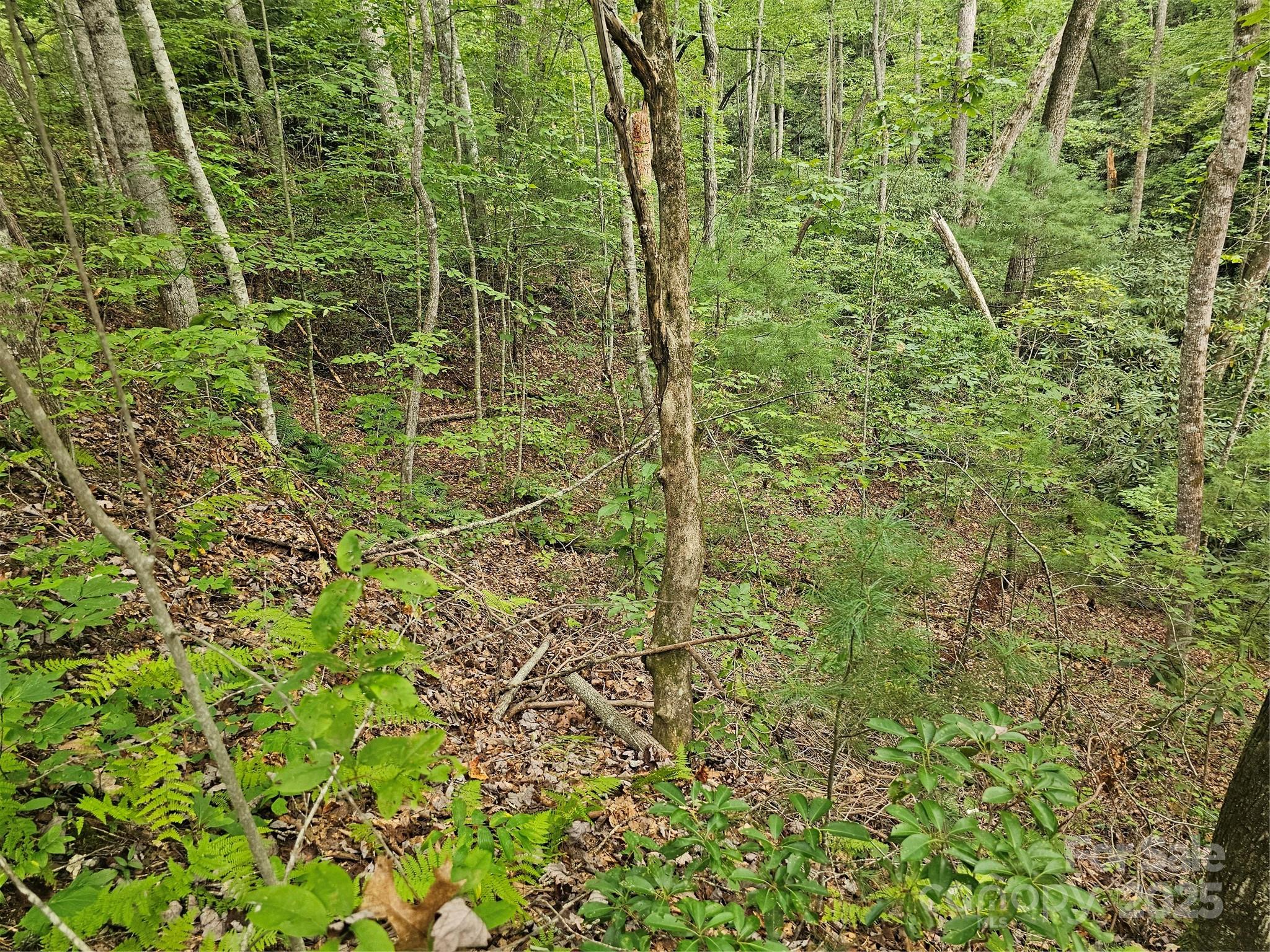 99999 Majestic Trace Hendersonville NC 28739