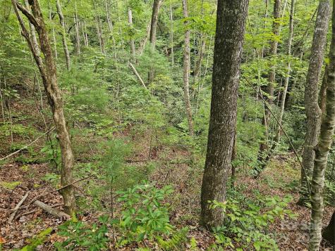 99999 Majestic Trace Hendersonville NC 28739