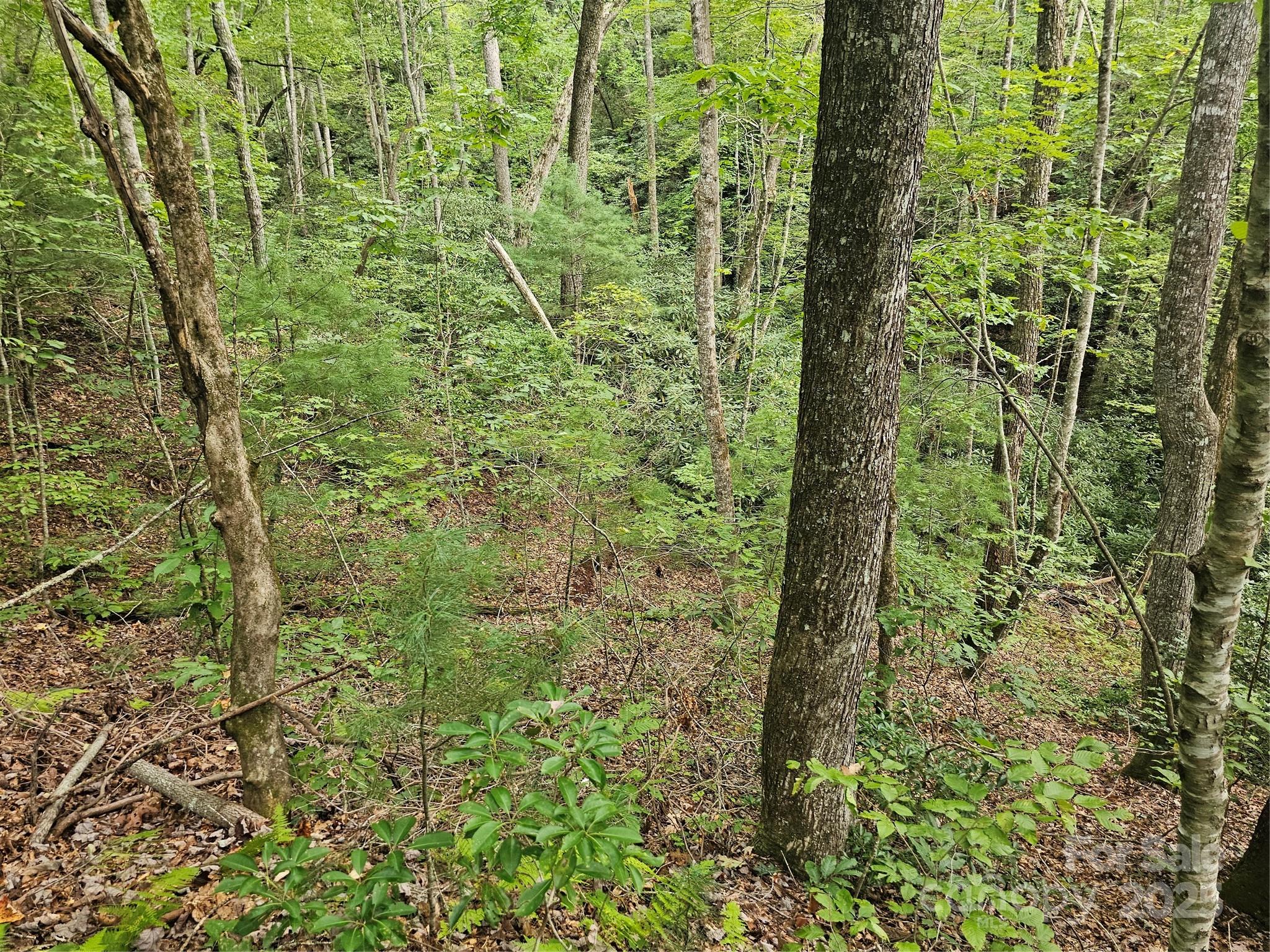99999 Majestic Trace Hendersonville NC 28739