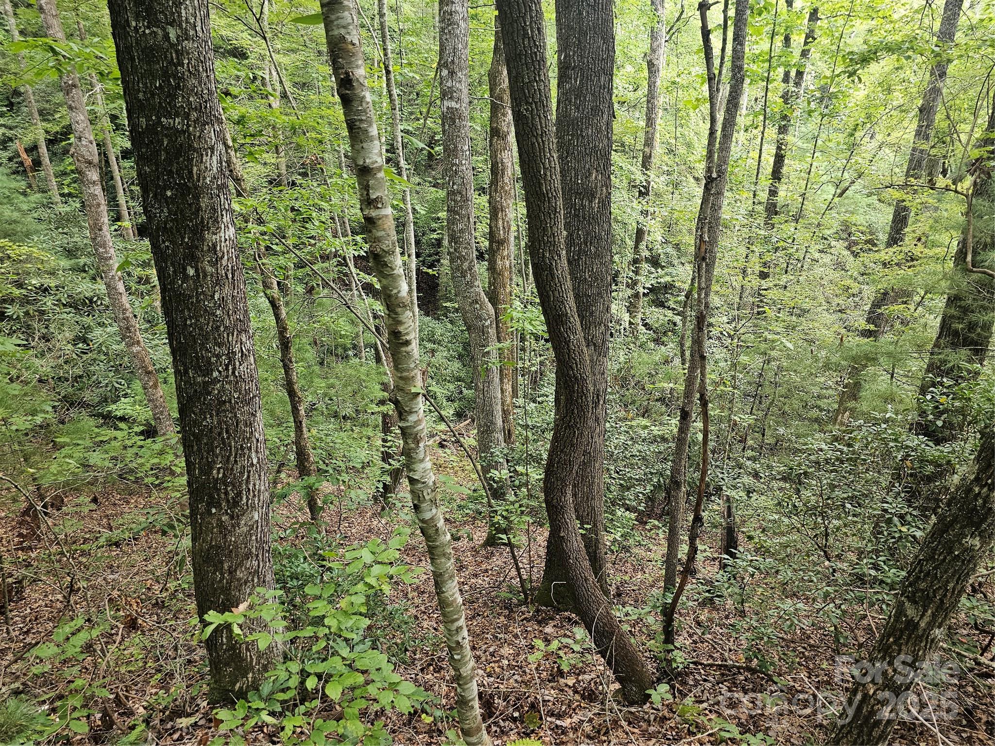 99999 Majestic Trace Hendersonville NC 28739