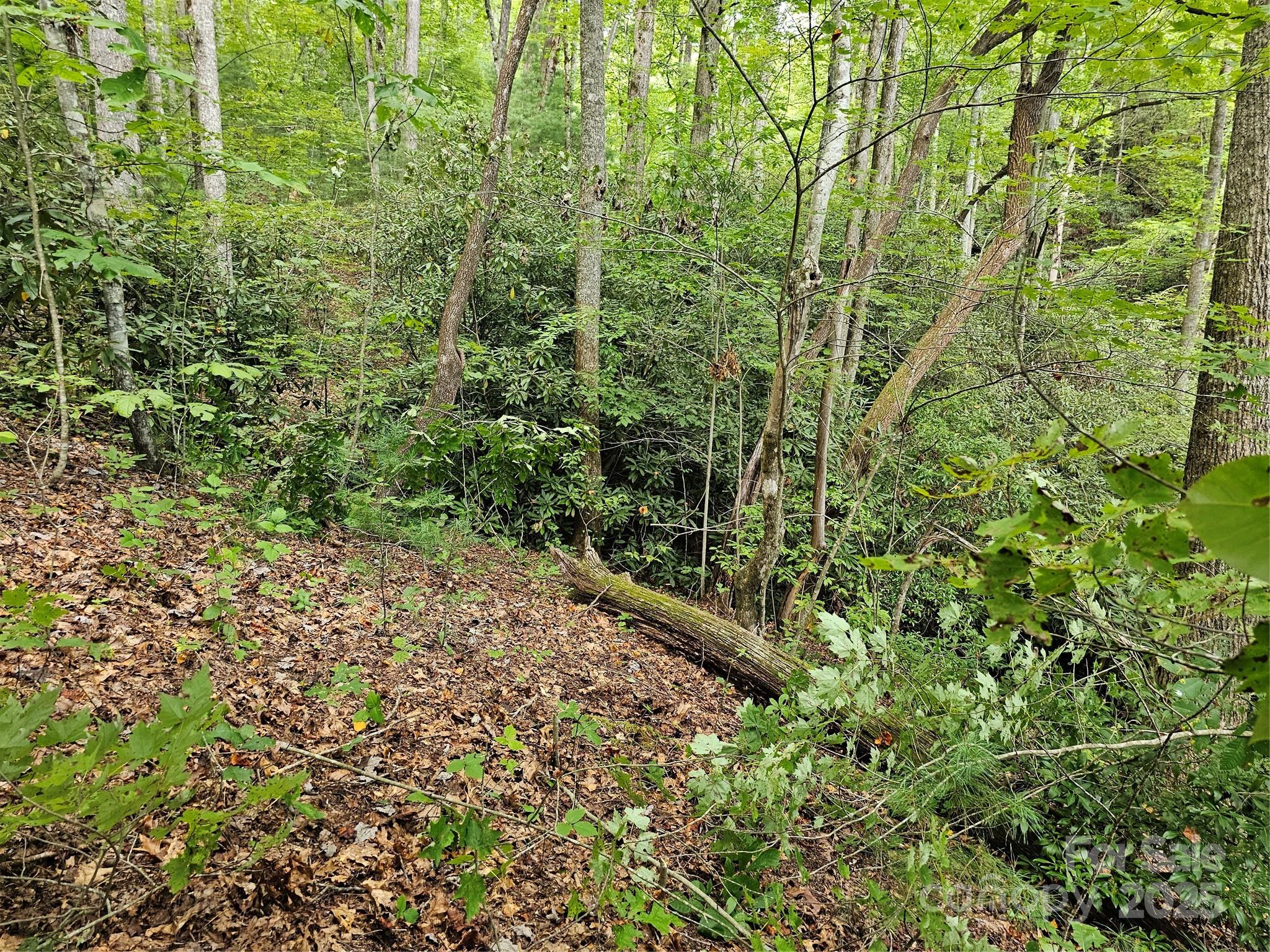 99999 Majestic Trace Hendersonville NC 28739