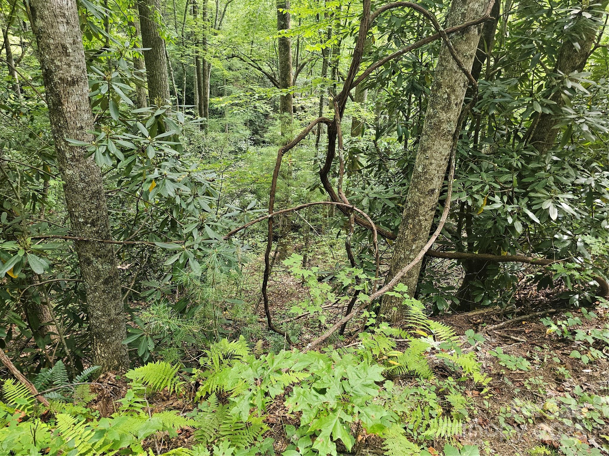 99999 Majestic Trace Hendersonville NC 28739