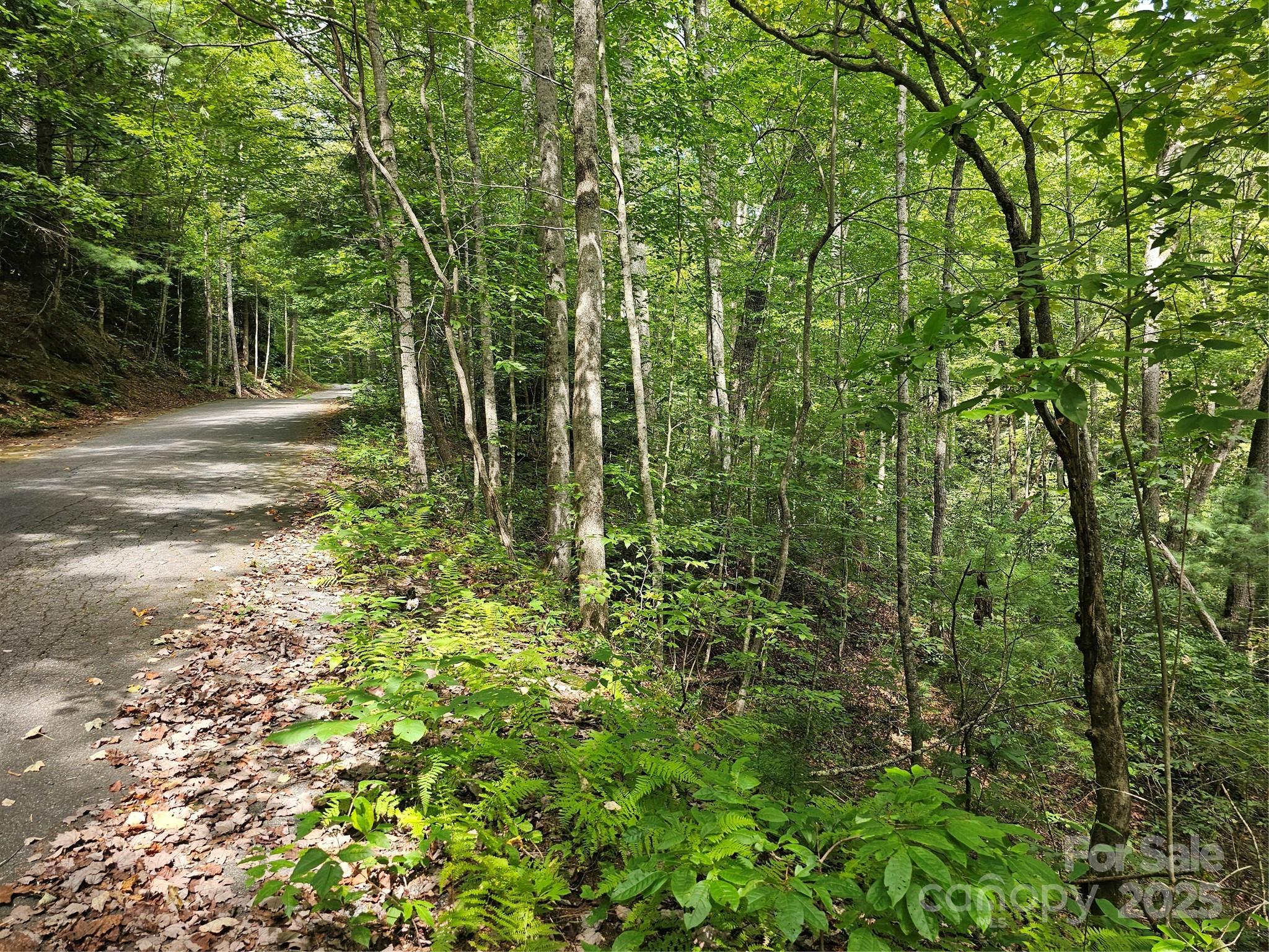 99999 Majestic Trace Hendersonville NC 28739