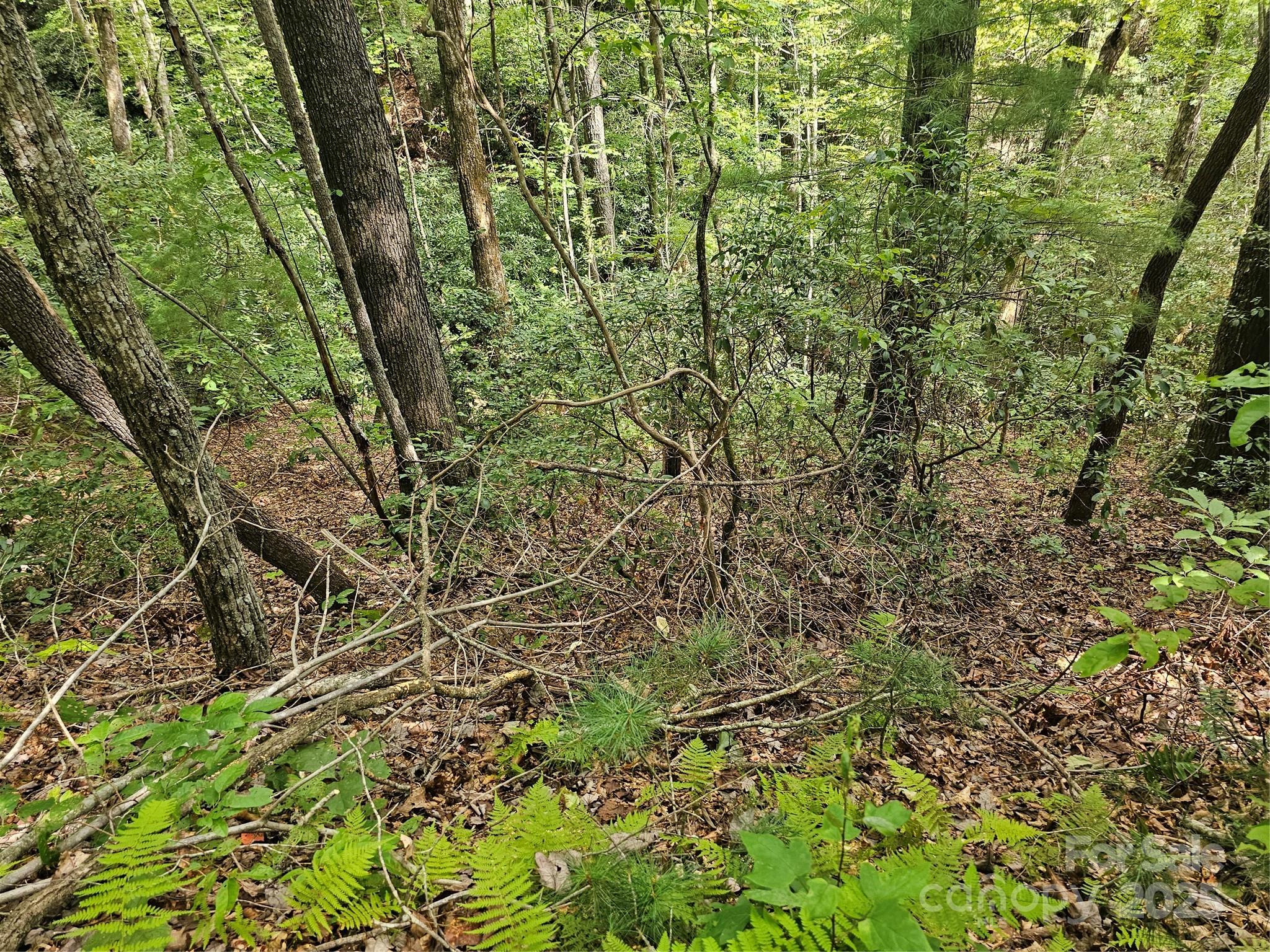 99999 Majestic Trace Hendersonville NC 28739