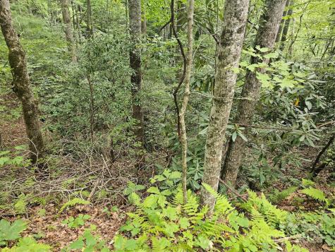 99999 Majestic Trace Hendersonville NC 28739