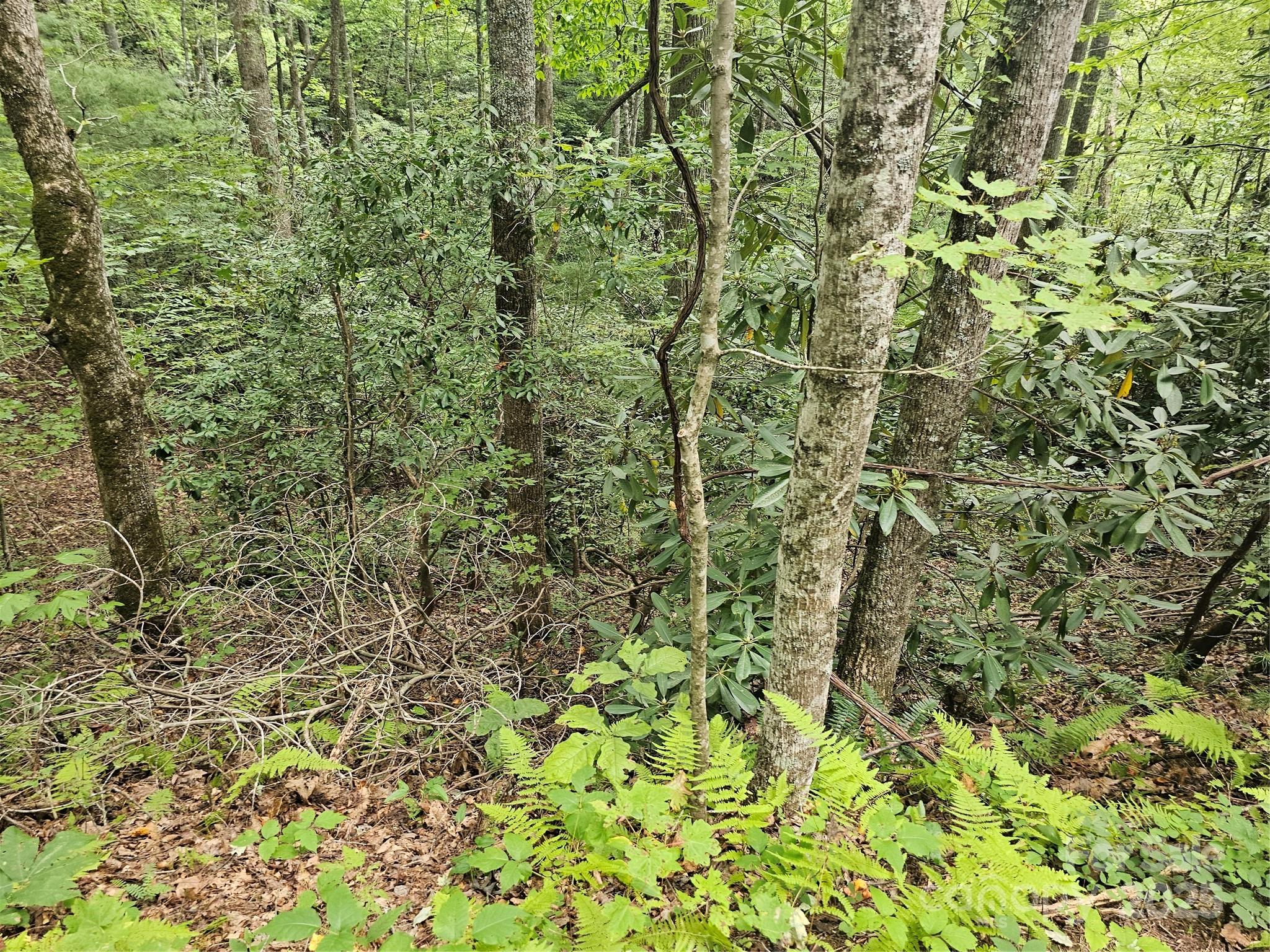 99999 Majestic Trace Hendersonville NC 28739