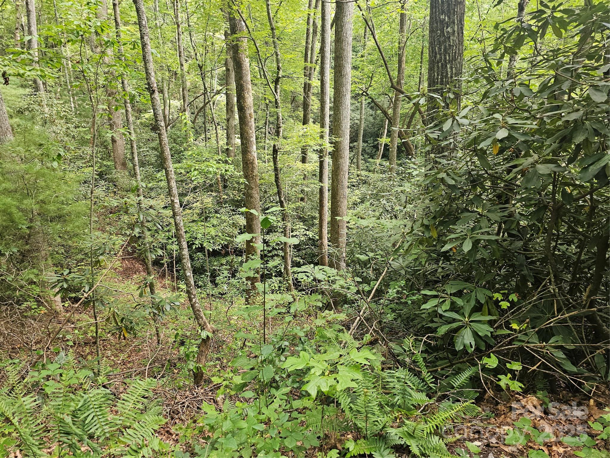 99999 Majestic Trace Hendersonville NC 28739