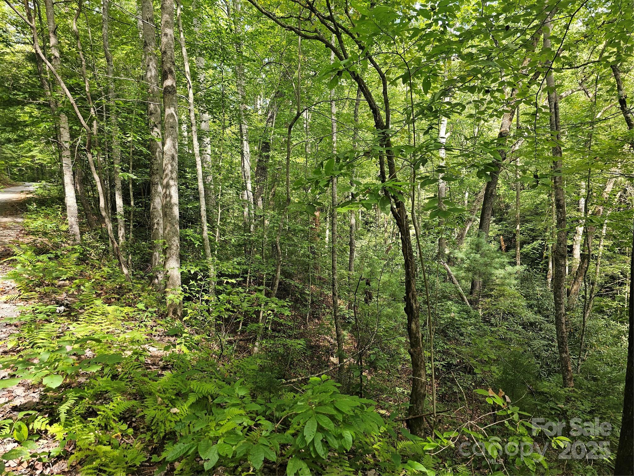 99999 Majestic Trace Hendersonville NC 28739