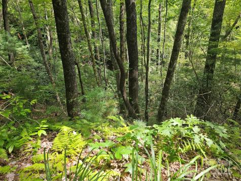 99999 Majestic Trace Hendersonville NC 28739