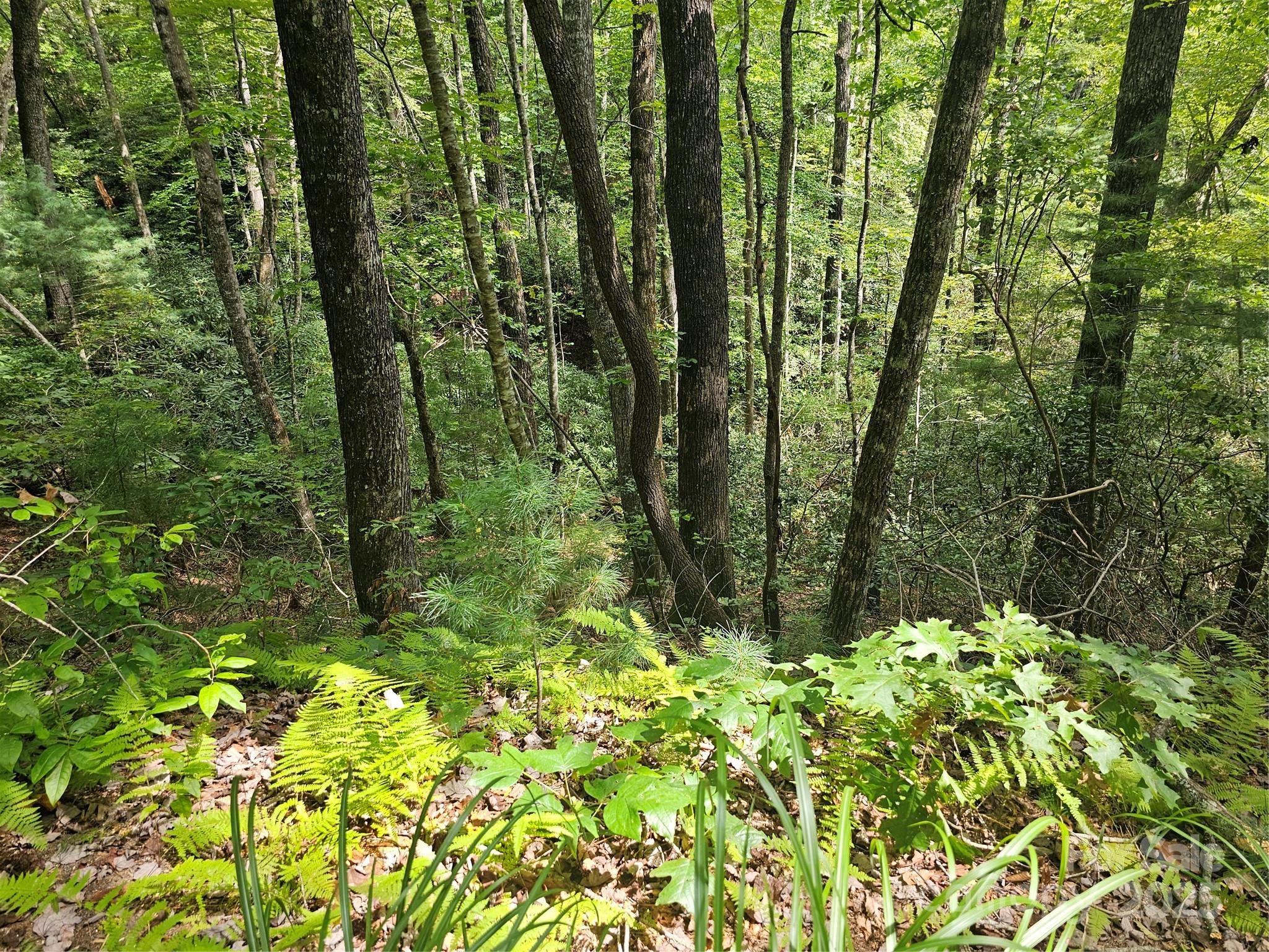 99999 Majestic Trace Hendersonville NC 28739