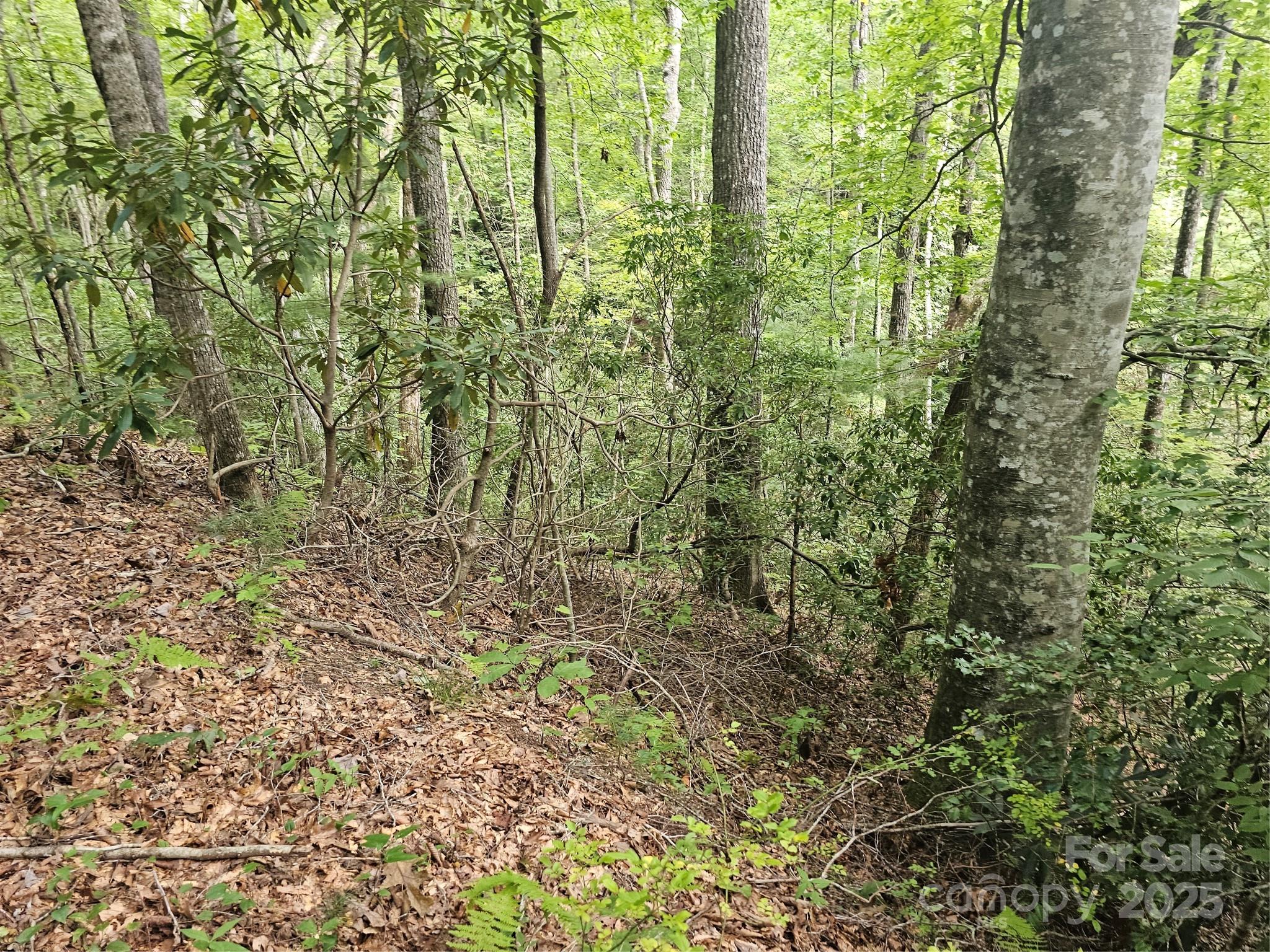 99999 Majestic Trace Hendersonville NC 28739