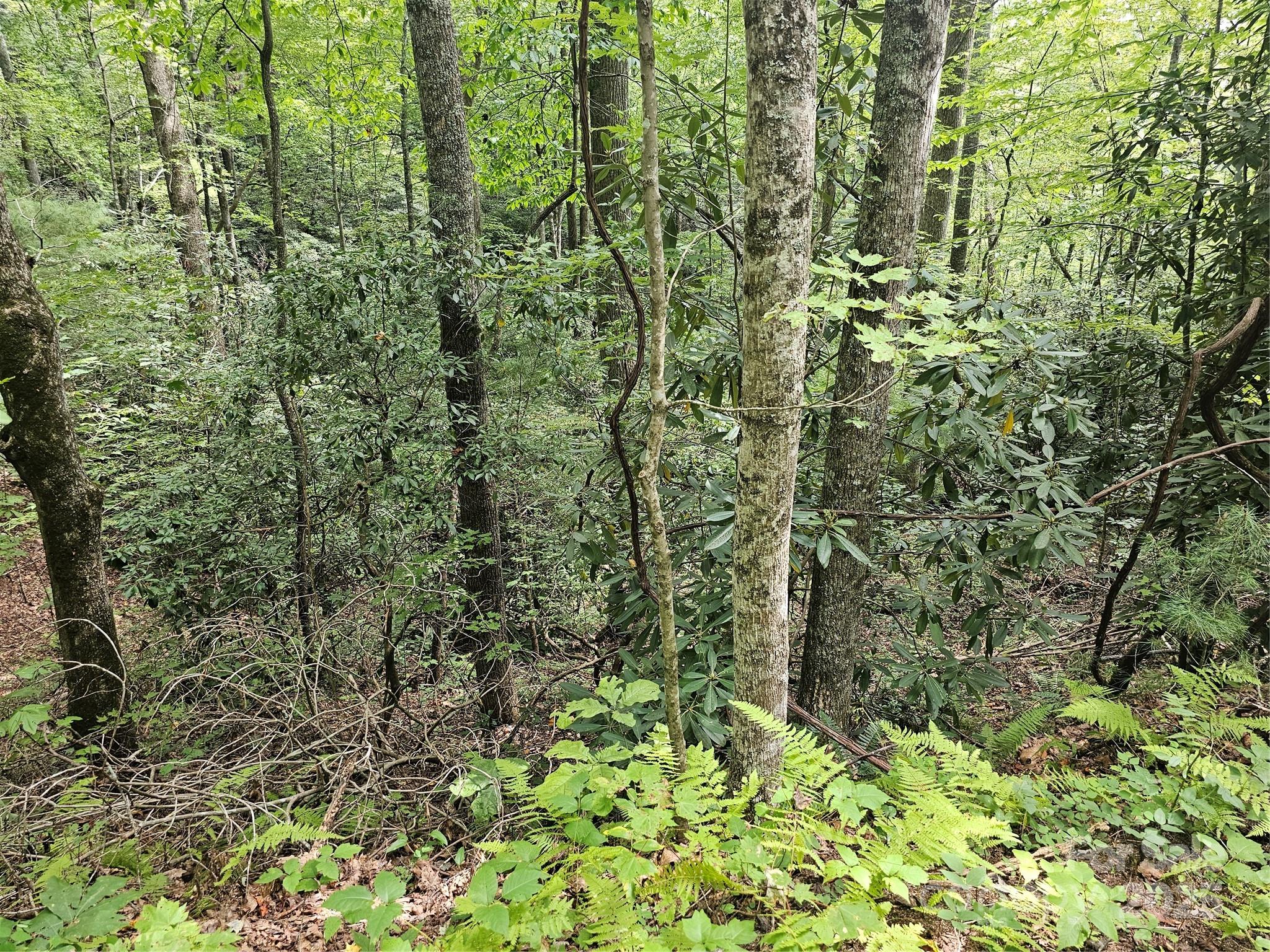 99999 Majestic Trace Hendersonville NC 28739