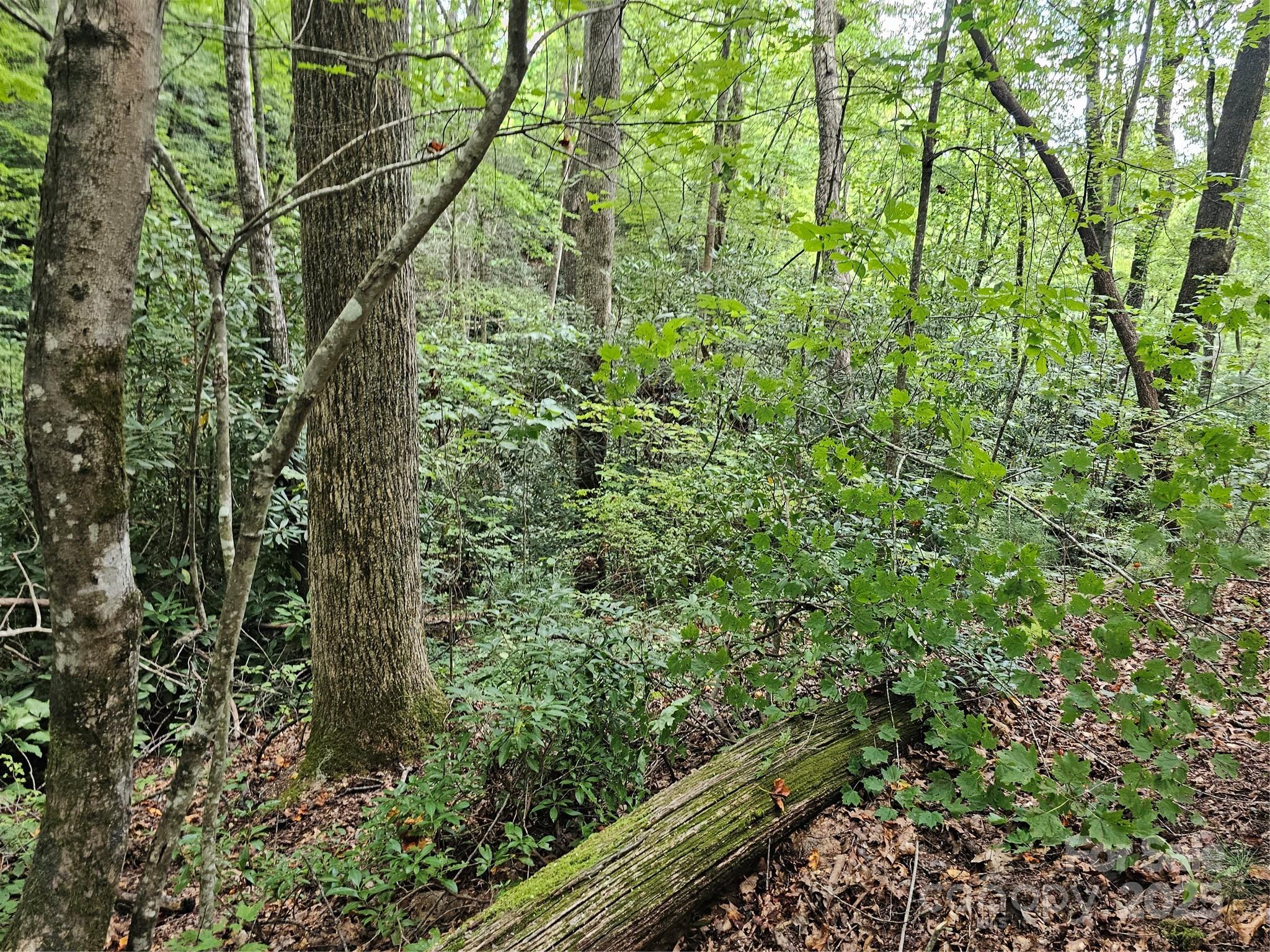 99999 Majestic Trace Hendersonville NC 28739
