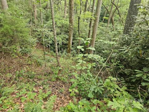 99999 Majestic Trace Hendersonville NC 28739